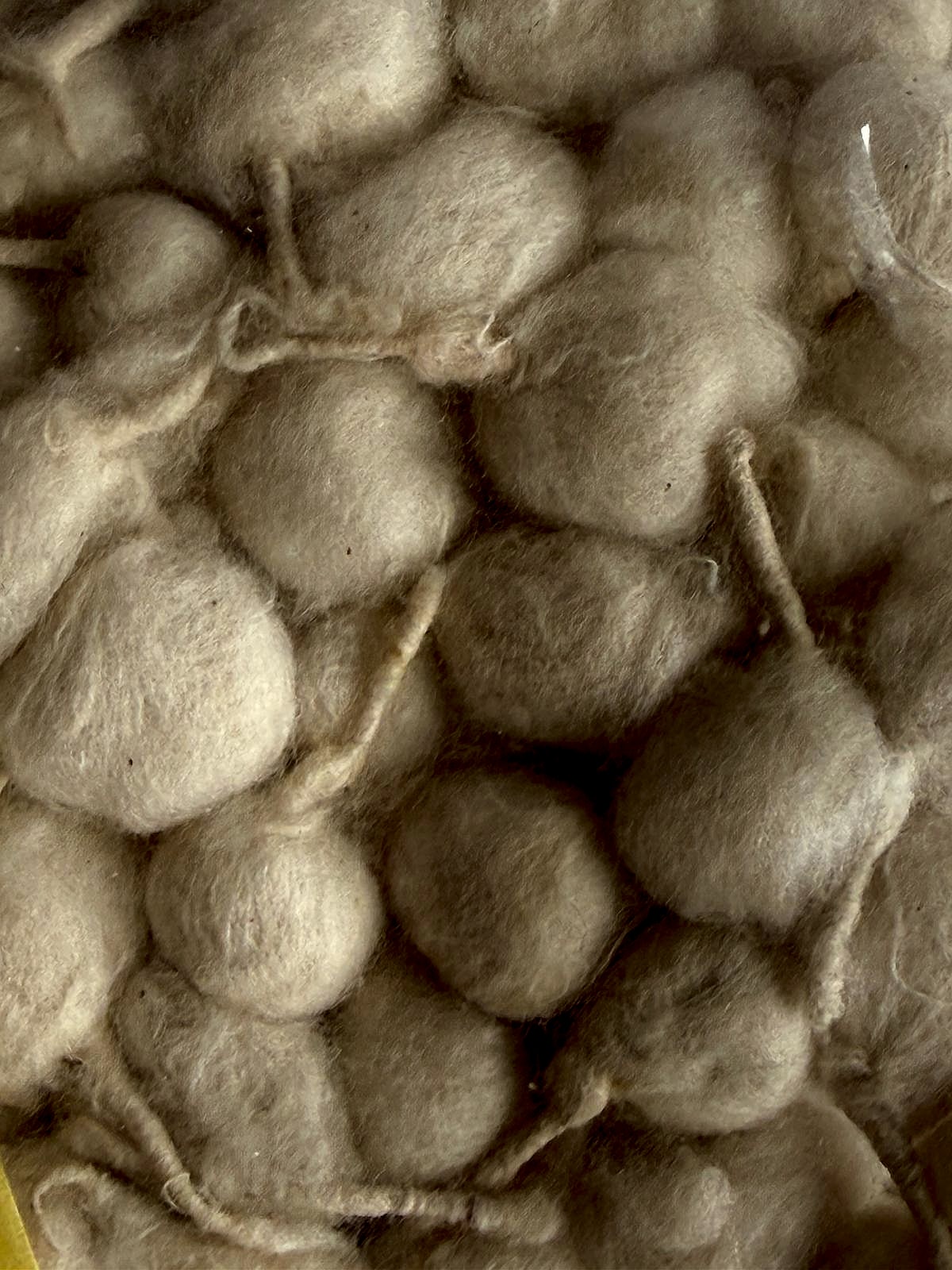 Natural cotton wicks for puja use